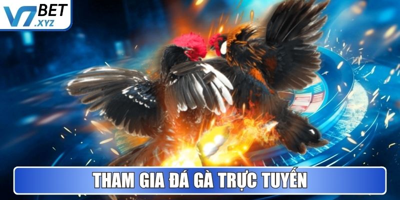 V7Bet - Nền Tảng Cá Cược Và Giải Trí Uy Tín Hàng Đầu 2025 6 Tham gia Đá Gà trực tuyến